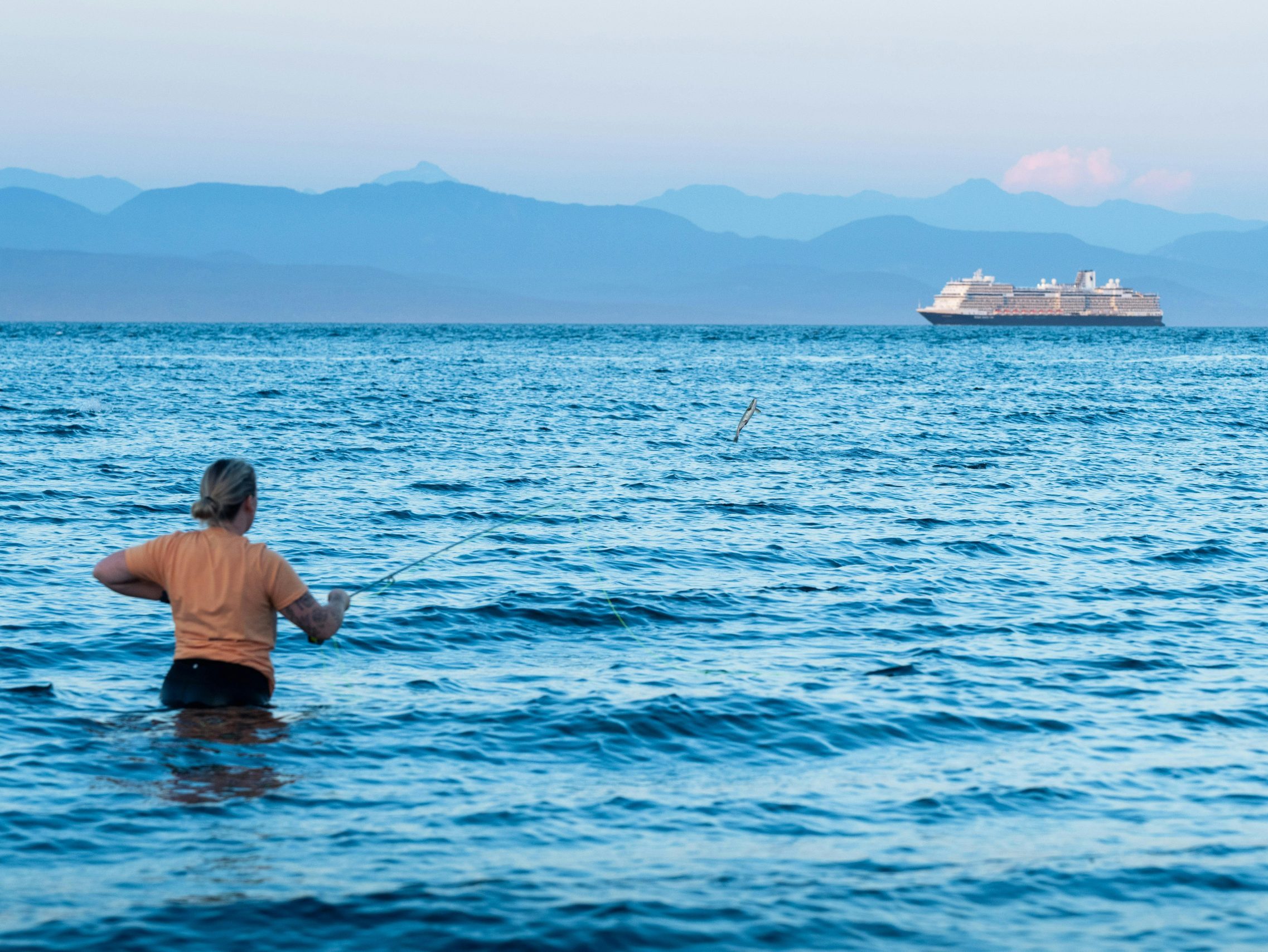 campbell river drywall services