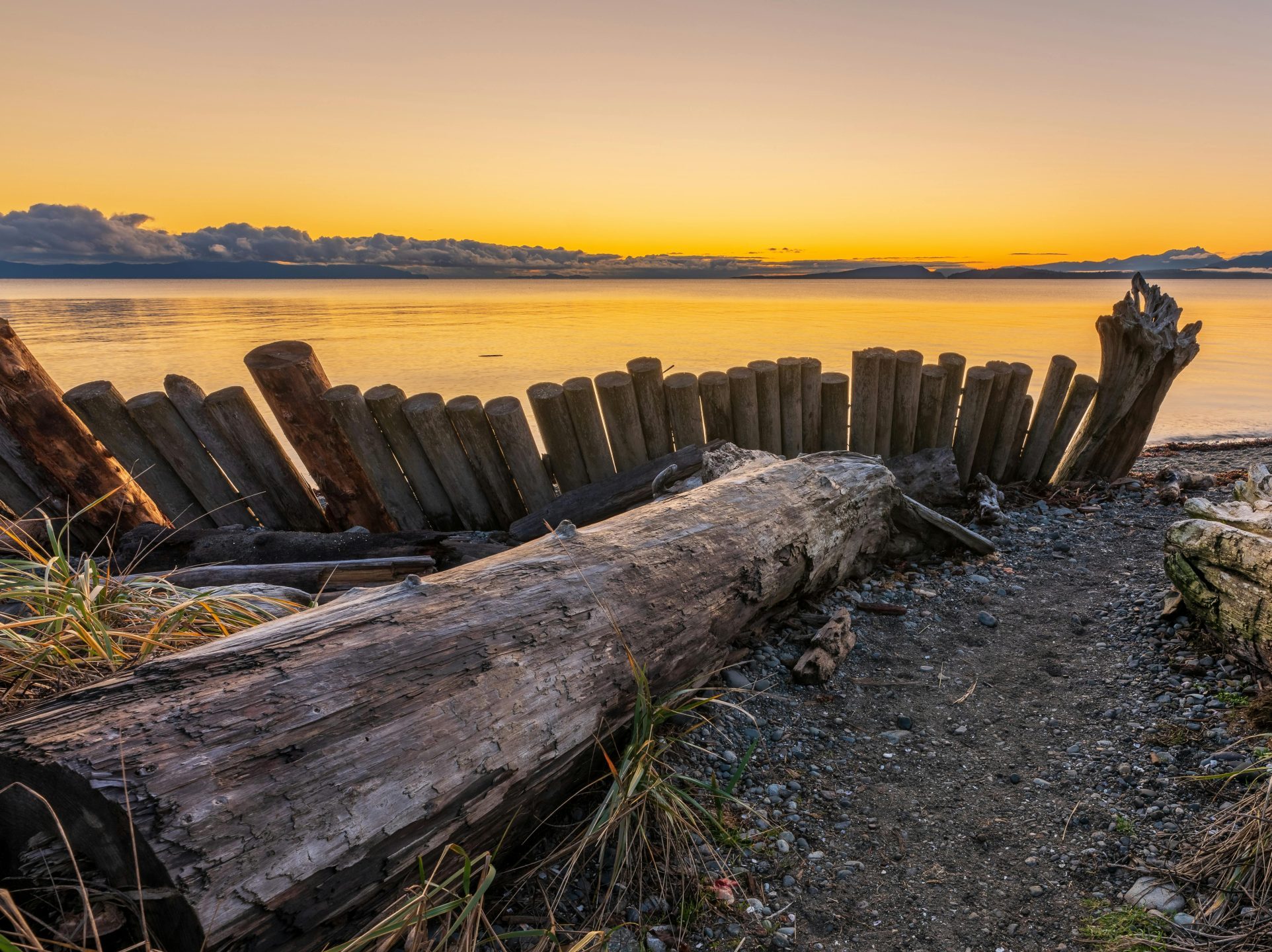 comox drywall services