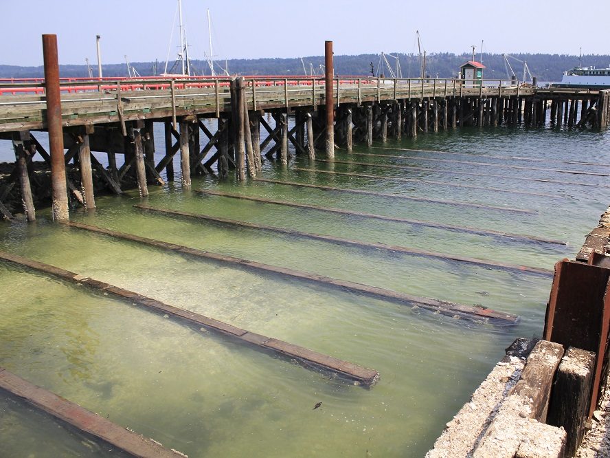 fanny bay drywall services